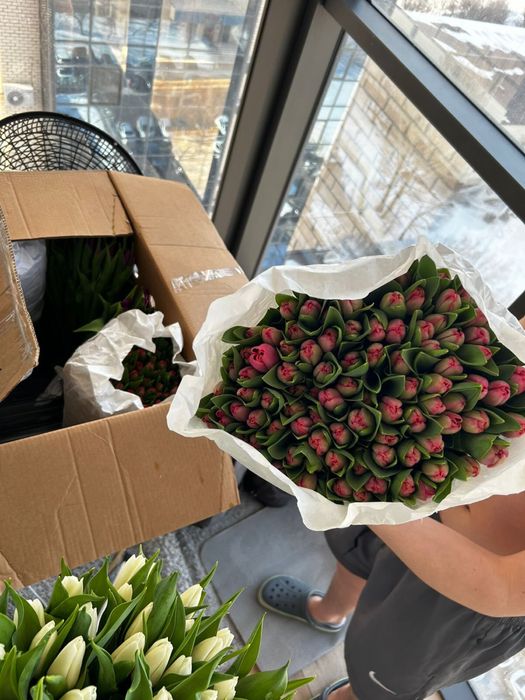 Голландские тюльпаны к 8 марта