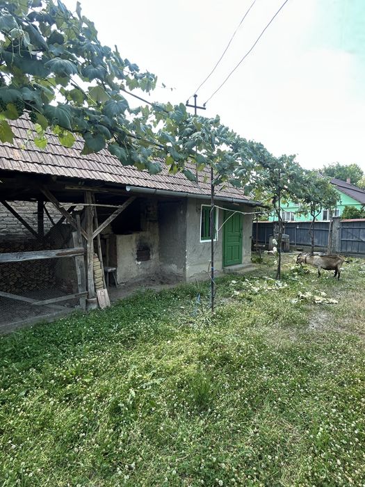 Vand Casa cu curte si gradina