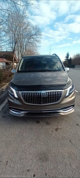 Deflector capota paravanturi vito 447