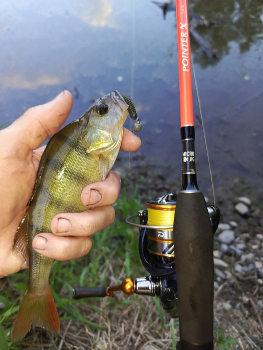 Спиннинг Maximus Pointer X 23Ul.