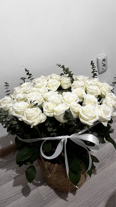 Аппак адеми свежий гүл