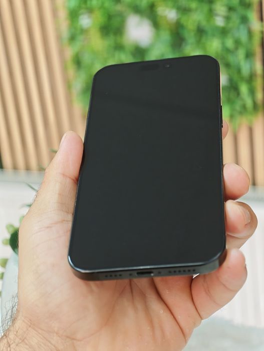 iPhone 16 Pro Max 256 Gb