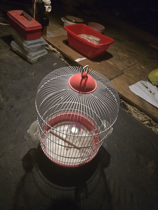 Colivie cusca papagal completa cu accesorii fara defecte