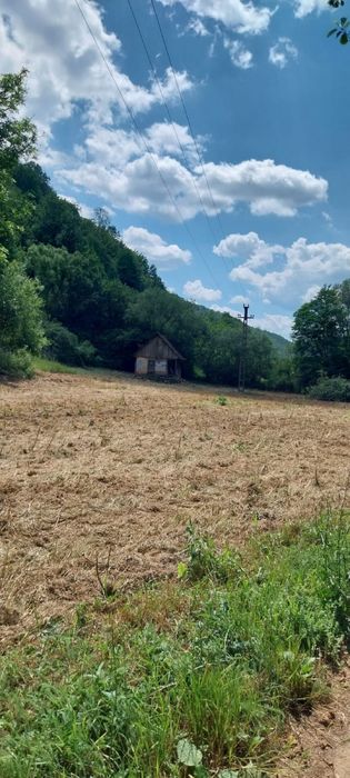 Vând teren intavilan cu construcție si extravilan.