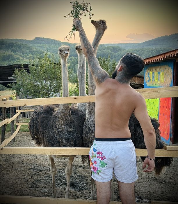 Struți Africani