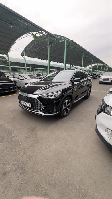 Byd 2024 yil song plus tybret. Nasya bor