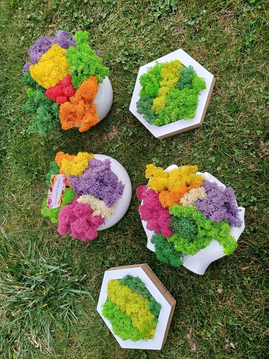 Подаръци със скандинавски мъх