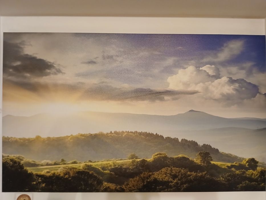 Картины  для интерьера