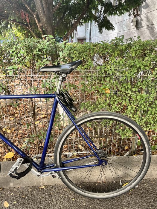 Bicicleta Fixed Gear (Fixie)