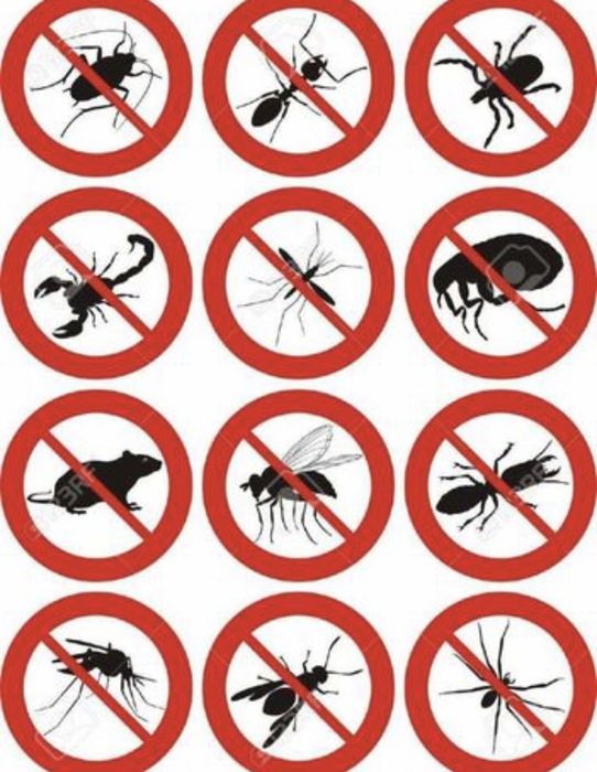 Дезенфекция дизенфекция дезинфекция дизинфекция dizinfeksiya