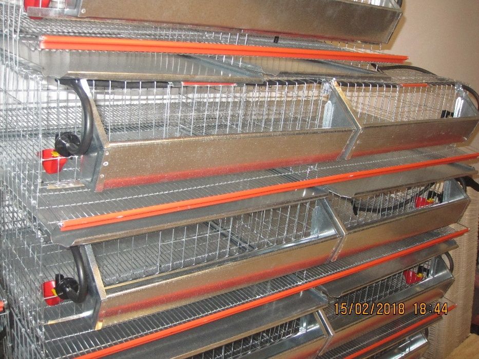 cusca 80 prepelite+adapatori automate