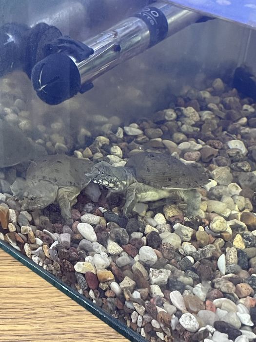 Продам аквариум