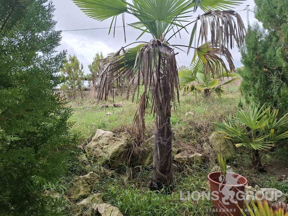 Продава се Къща в с. Климентово, Област Варна - 134 кв.м за 510 €/кв.м - Снимка #3