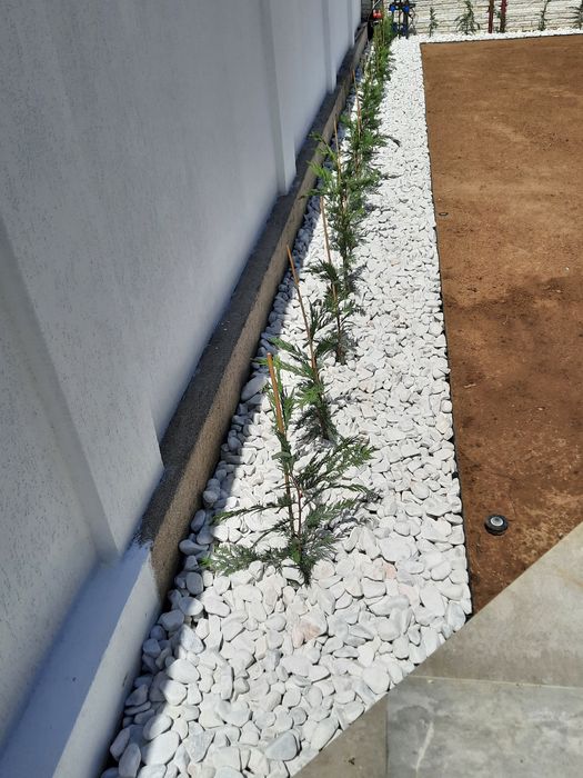 Piatra decorativa ornamentala