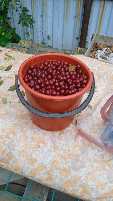 Дача СТ Ромашка 7.2 сотки( незатопляемая))