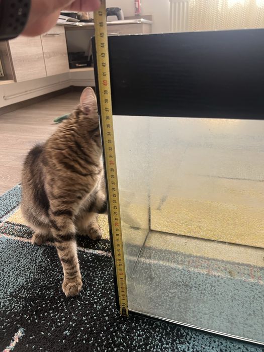 Acvariu pesti 60x25x45