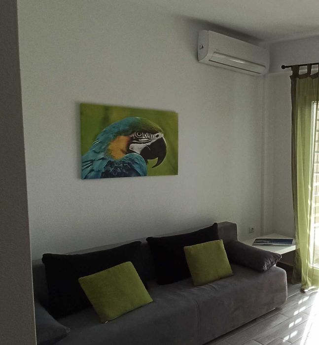 На море в Паралия Офринио