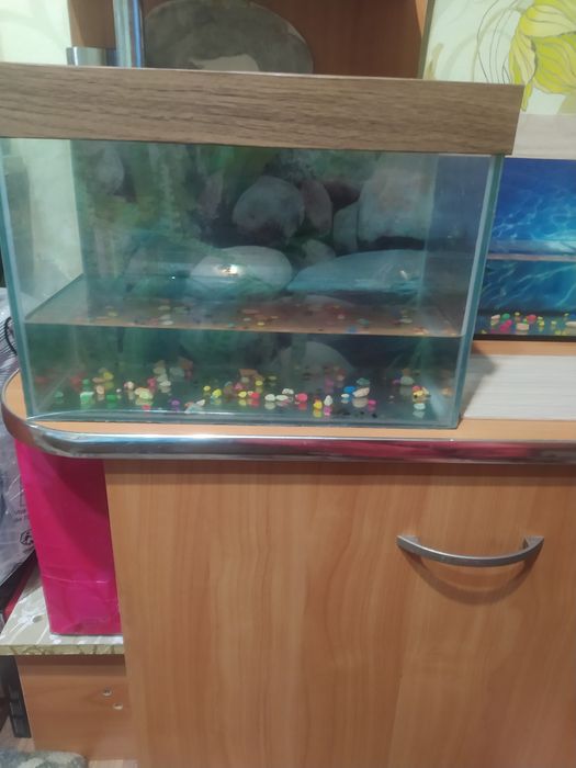 Продам аквариум с рыбками