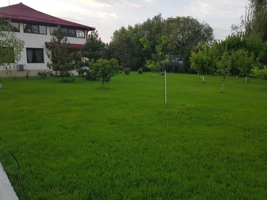 Pachet gazon rulou și sisteme de irigare. 40-50 lei/mp, montaj gratuit.