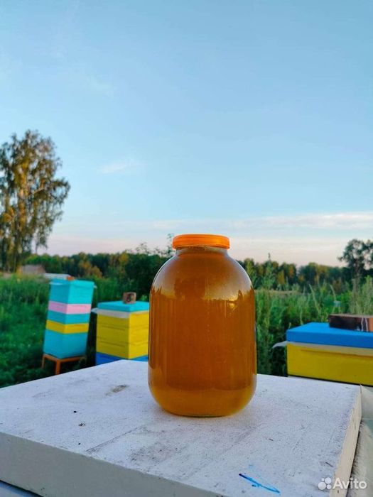 Продам высокогорный мед.