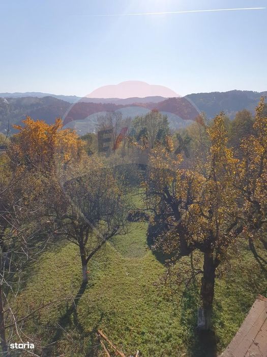 Teren 4,972mp Bertea / Strada Matraguni