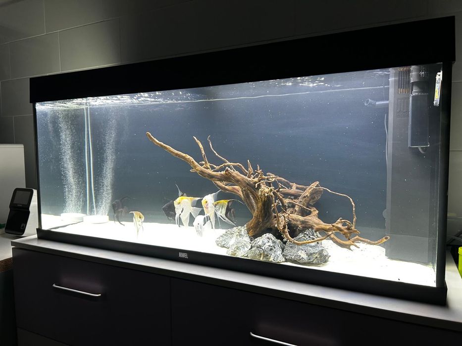 Acvariu Juwel Rio 240 litri