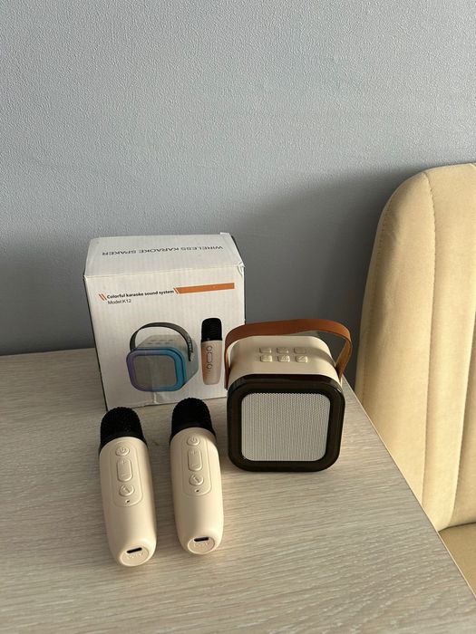 Калонка с 2 микрофона