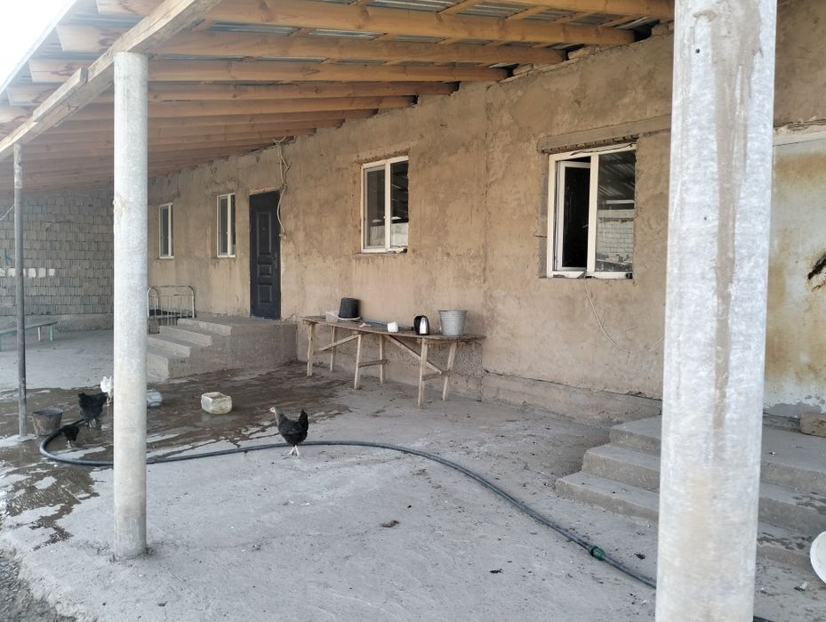 Кора қора фазенда