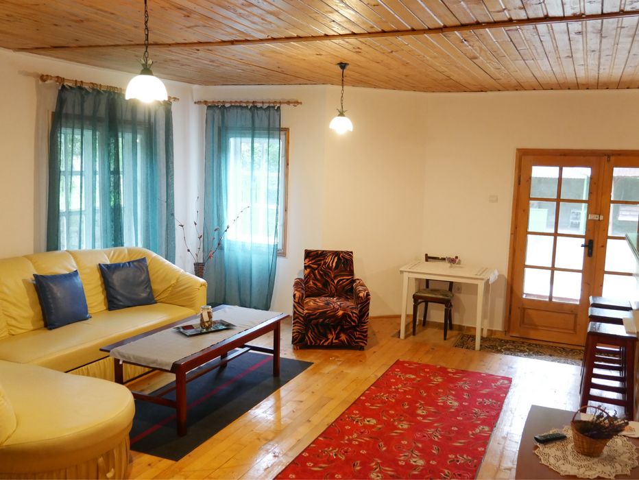 Casa de vacanta comuna Gura Teghii