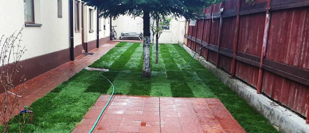 Gazon Verde pentru Case, Vile si Spatii Comerciale