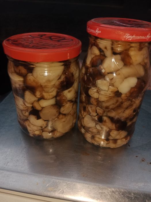 Продам соленые грибы