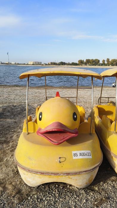 4 ta katamaran sotiladi,holati yaxshi