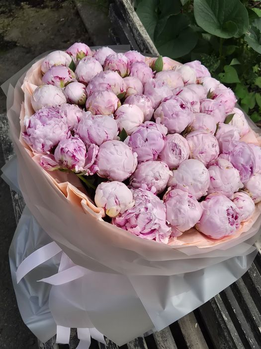 Пионы Алматы майские