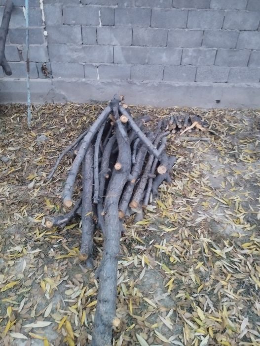 Продам дрова обрезки яблони ,сливы