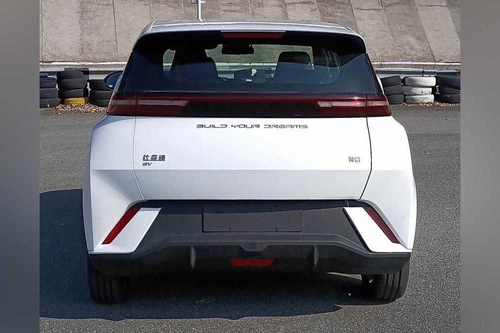 Byd Seagull orqa oyna