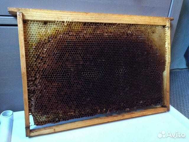 Продам сушь пчелинную