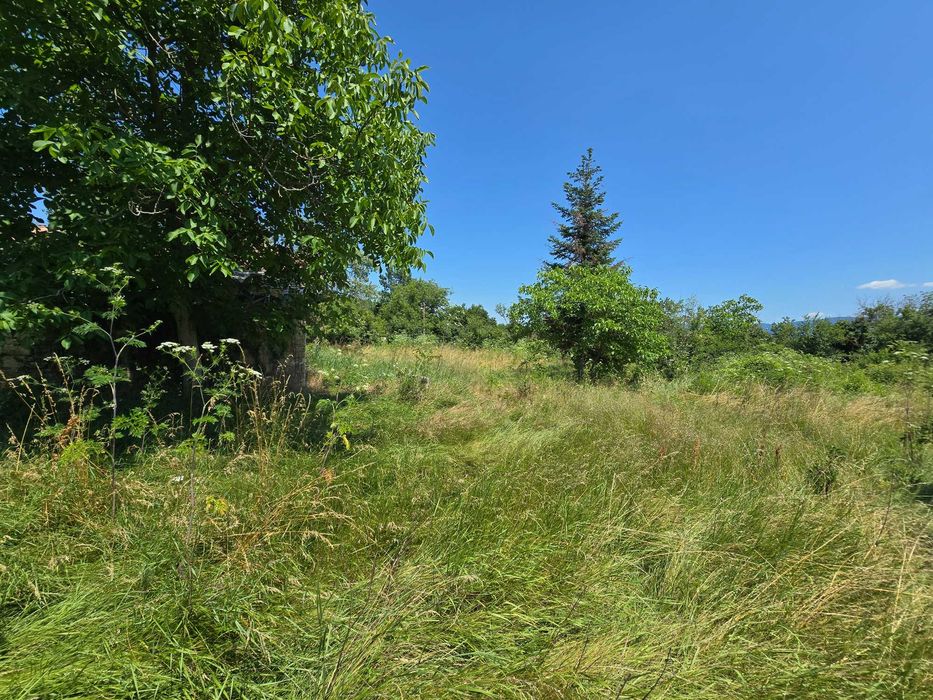Парцел в село Церова кория