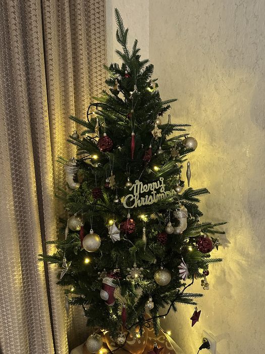 Продаются красивые елки