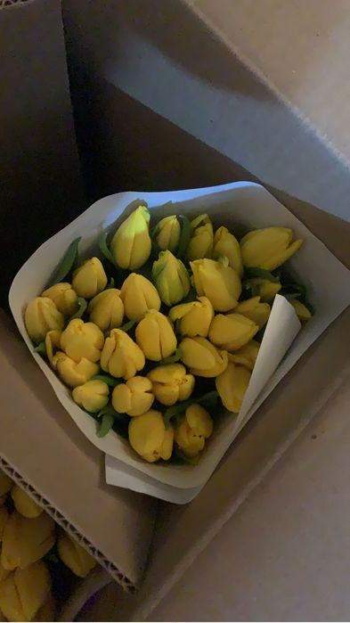 Тюльпаны, подарок к 8 марта