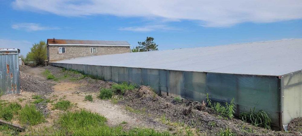 Продам теплицу в Рудном рассмотрю варианты