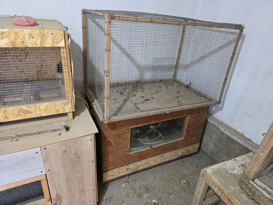 Брудер клетка сатылады