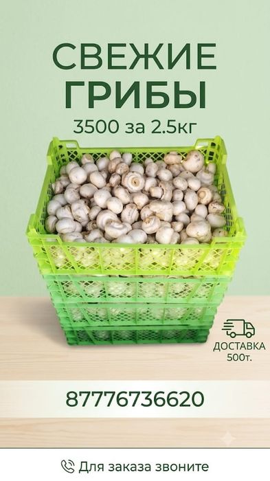 Продам грибы 3500 за 2.5кг Петропавловск