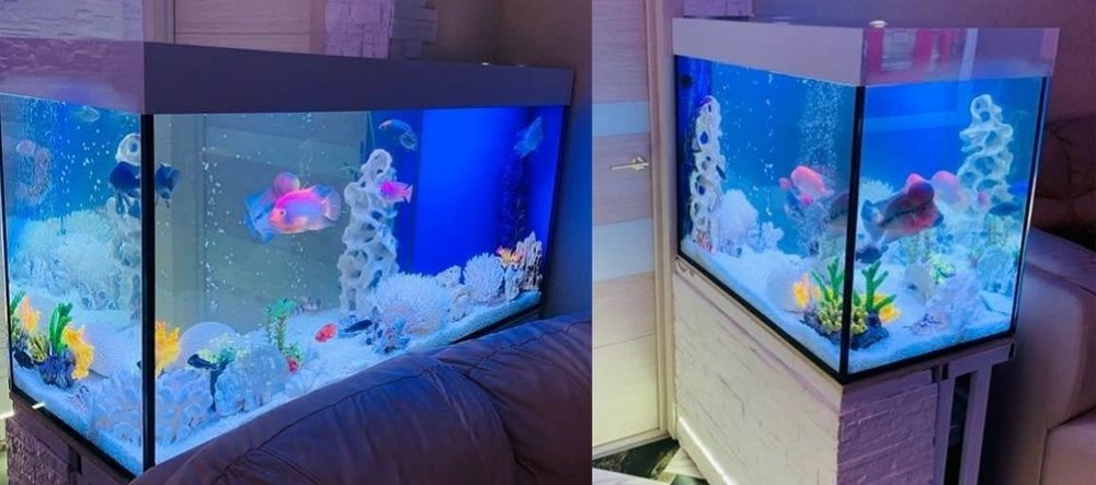 АКВАРИУМЫ на заказ