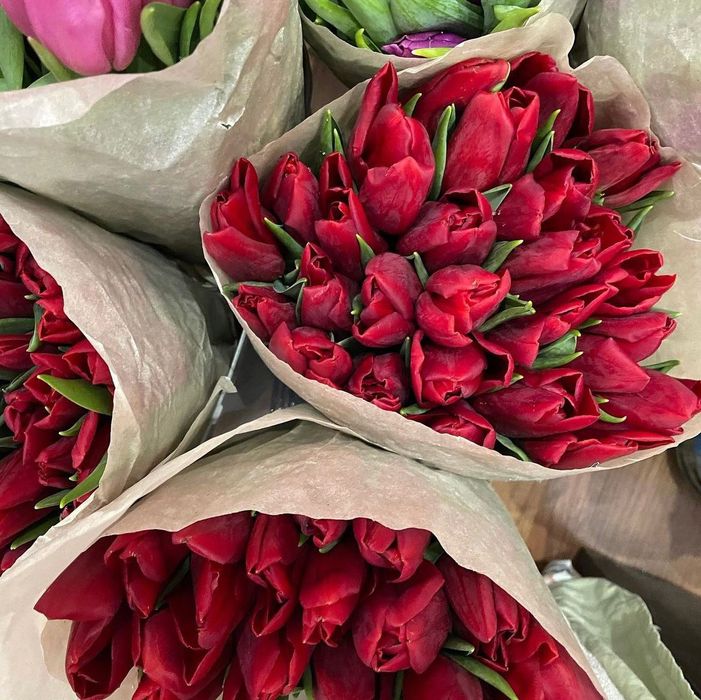 Тюльпаны с луковицами