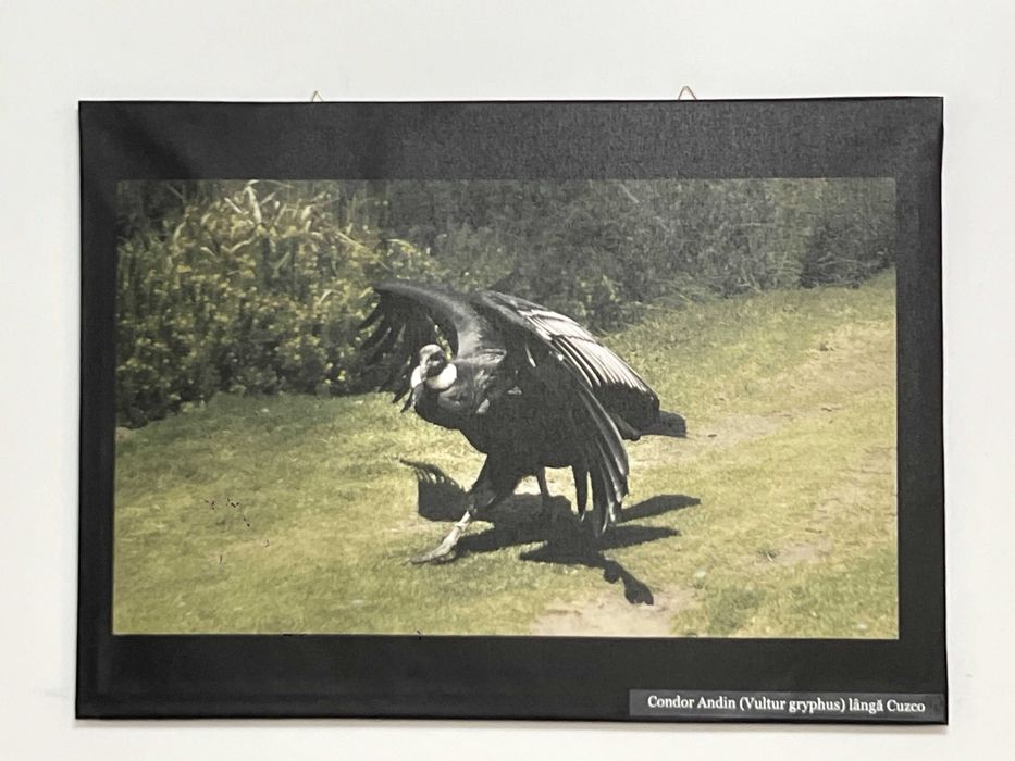 vand tablouri peisaje din Peru, marime 70 x 50, inramate tip canvas