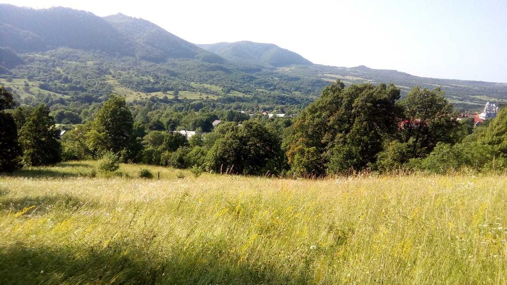 Vând teren extravilan in Bistra Mureșului