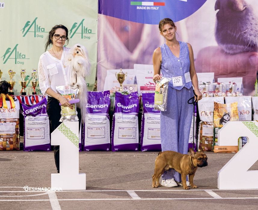 Кинолог ‐ дрессировка собак