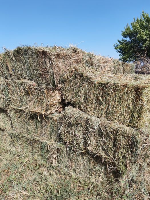 Beda  Makka sorgo aralash press sotiladi.
