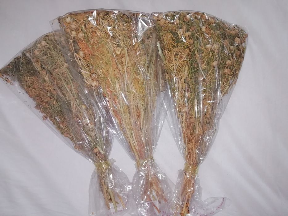 Адыраспан новый. Адраспан новый.