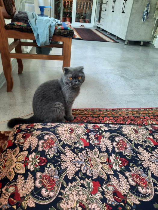 Красивое стены зделоем